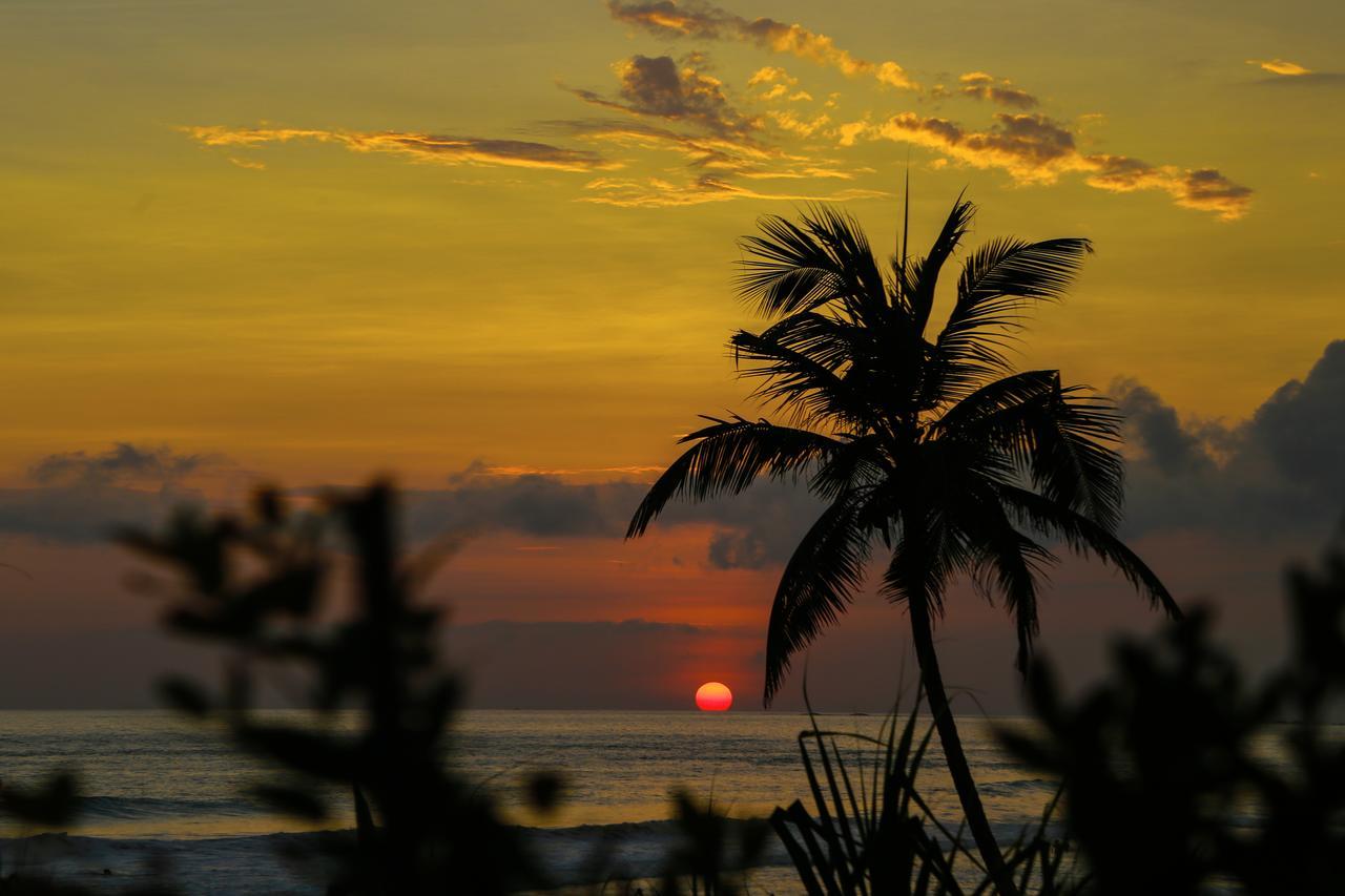 Top Secret Beach Hotel Matara Exterior foto